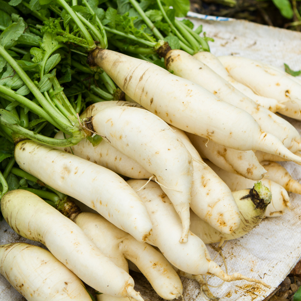 Radish Palak Patta seeds - 30
