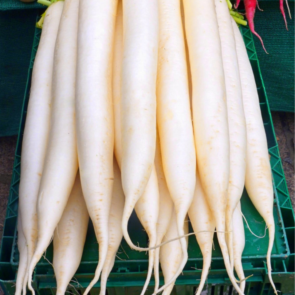 Radish Palak Patta seeds - 30