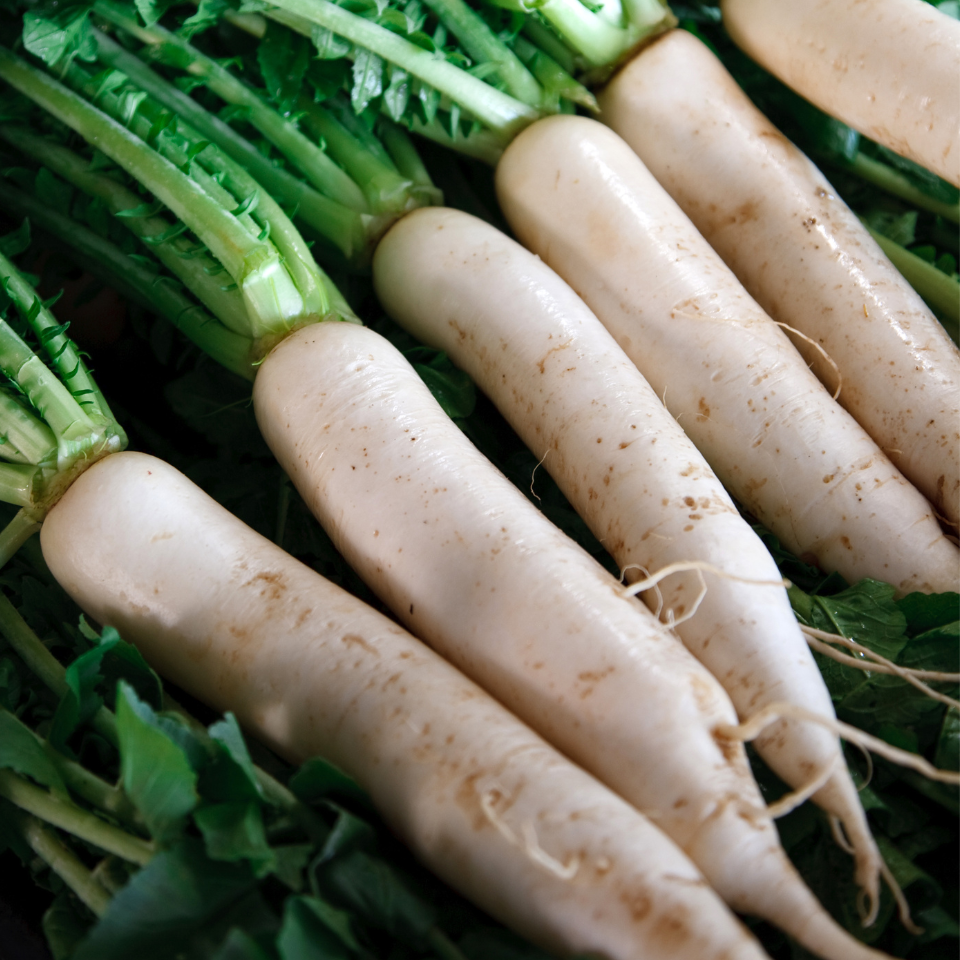 Radish Palak Patta seeds - 30