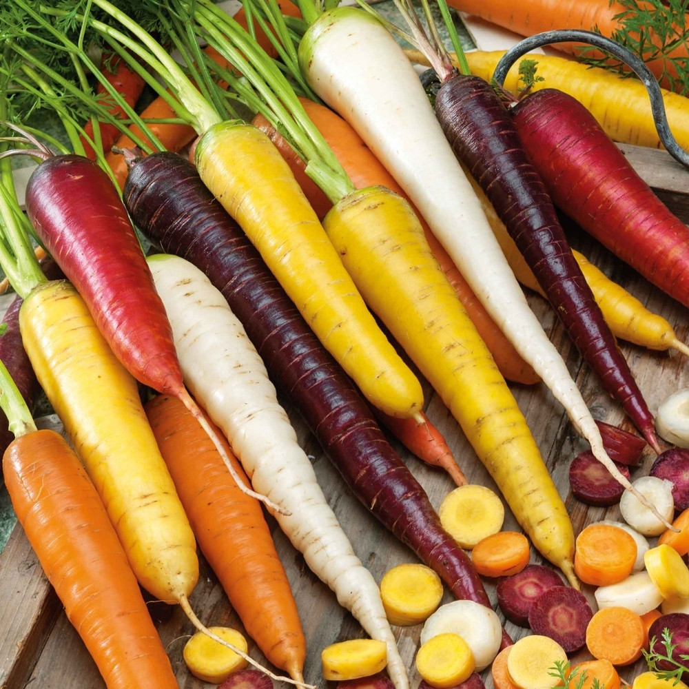 Rainbow Carrot seeds mix colours - 20