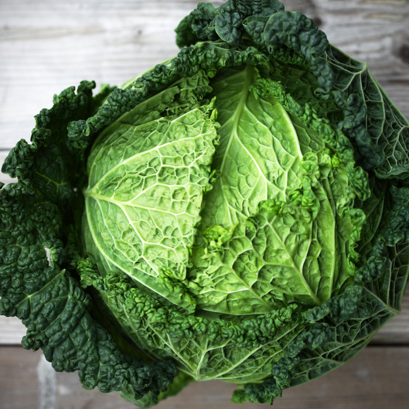 Cabbage pride of india seeds - 30