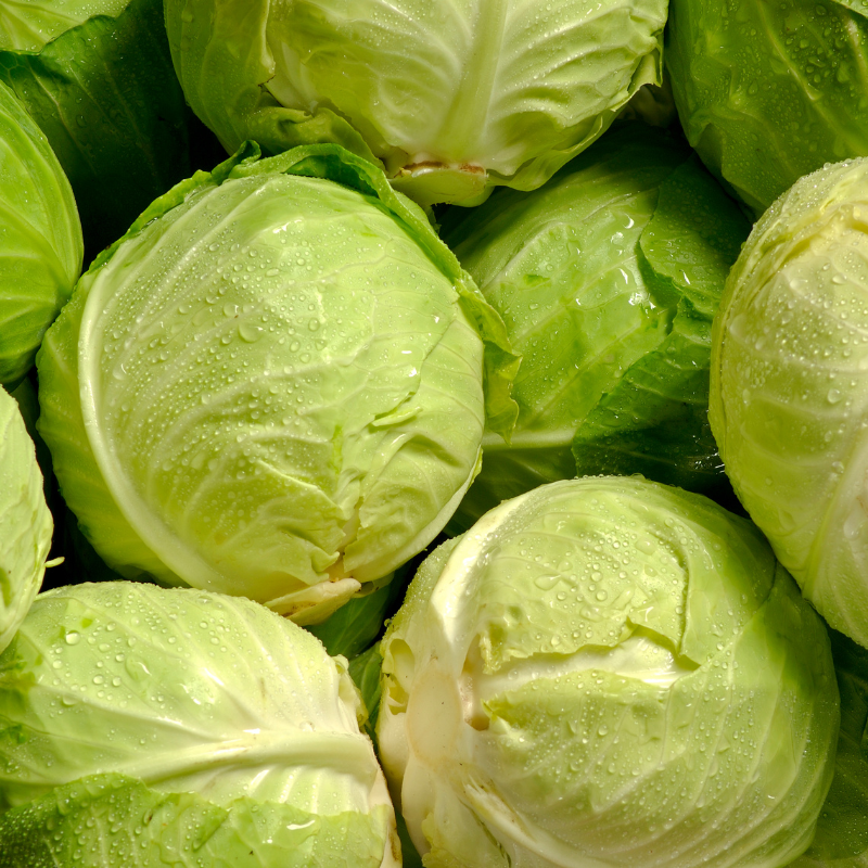 Cabbage pride of india seeds - 30