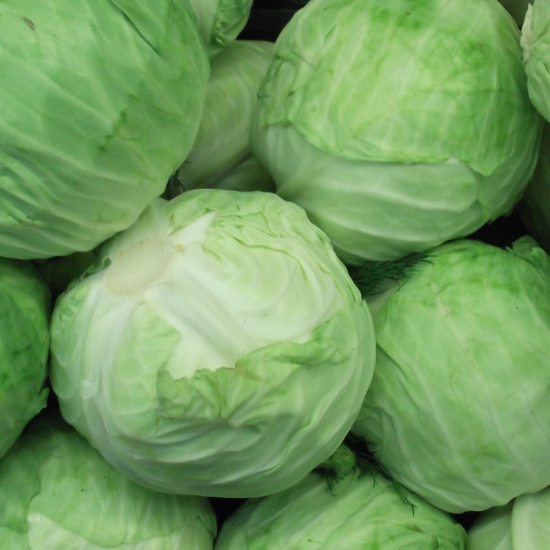 Cabbage pride of india seeds - 30