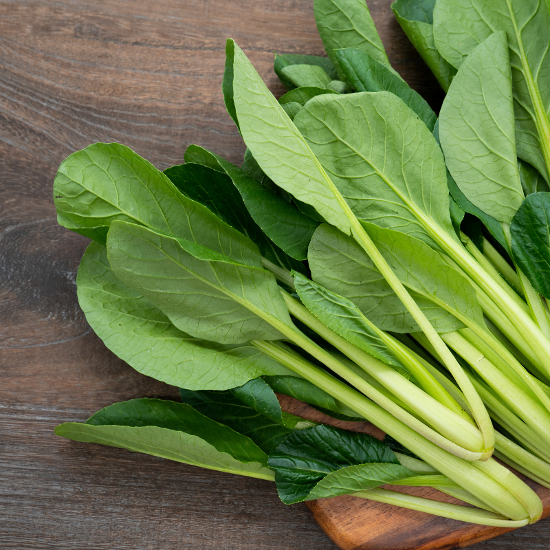 Komatsuna baby leaf seeds - 30