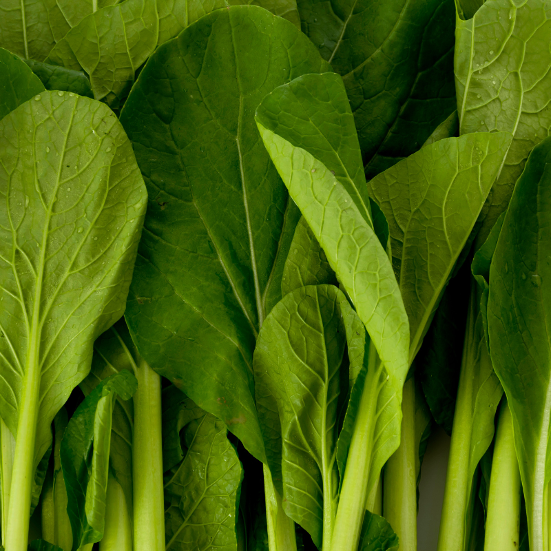 Komatsuna baby leaf seeds - 30