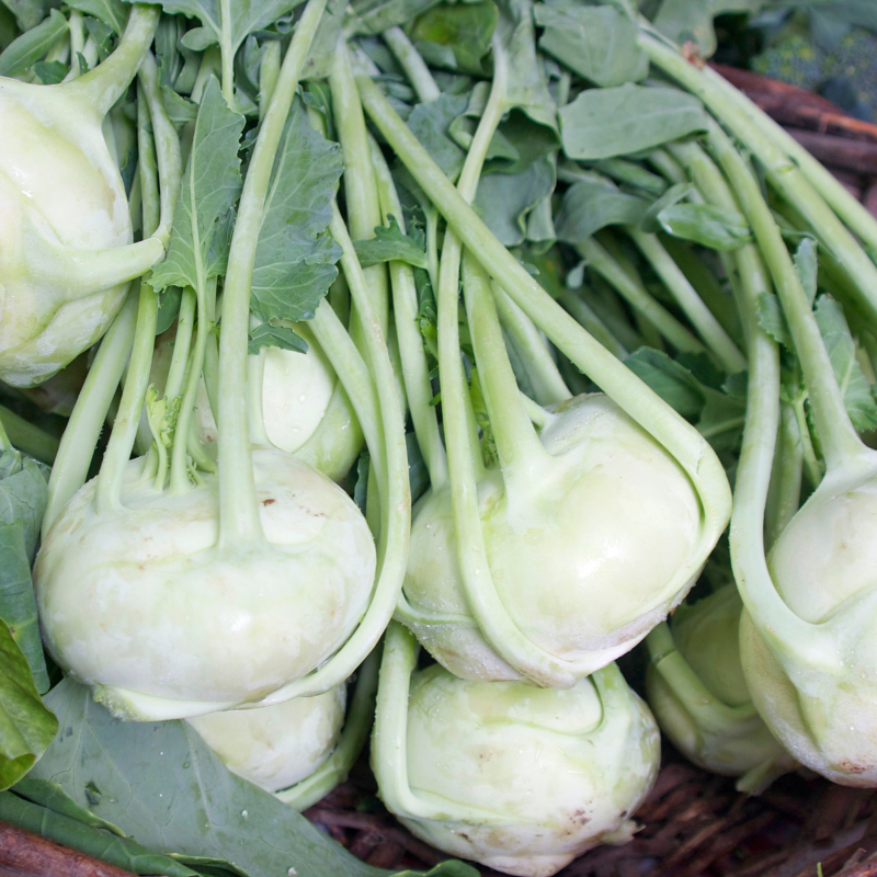 Kohlrabi early white vienna seeds - 30