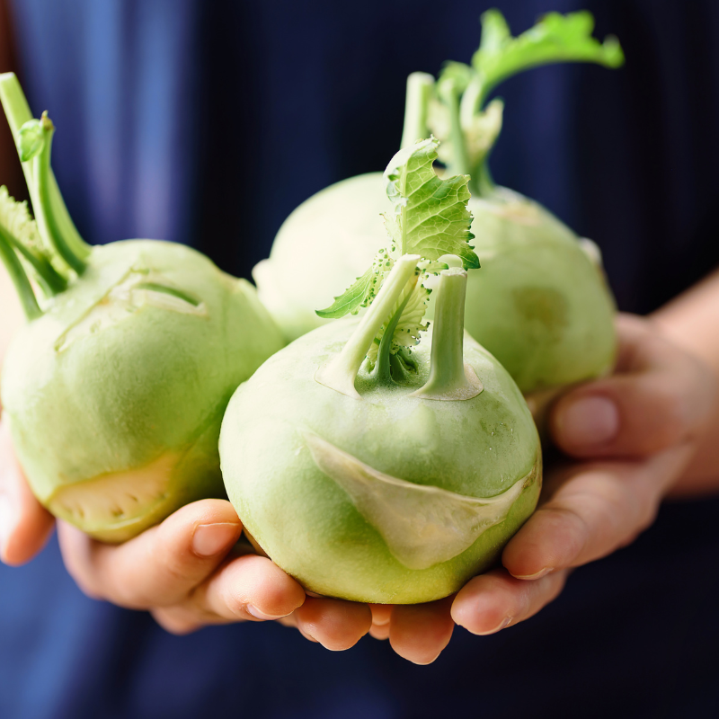Kohlrabi early white vienna seeds - 30