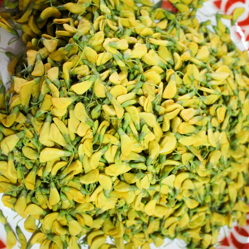 Sesbania Aculeata, Danch seeds - 25