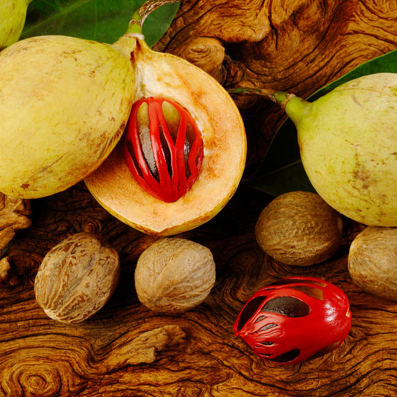 Nutmeg tree, Myristica fragrans seeds - 3