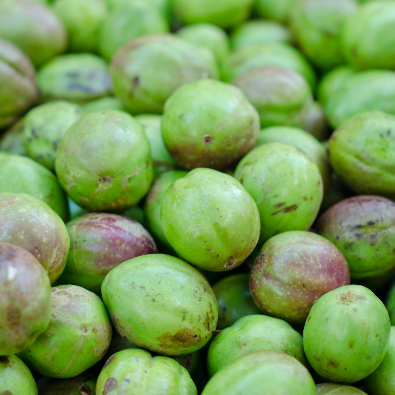 Terminalia Belerica, Beleric Myrobalan seeds - 5