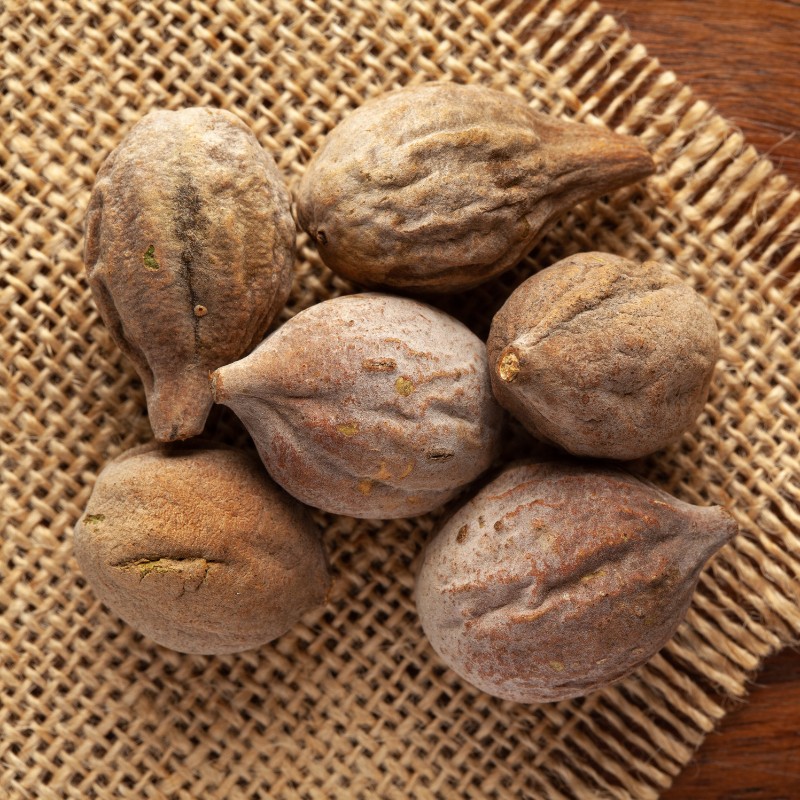 Terminalia Belerica, Beleric Myrobalan seeds - 5