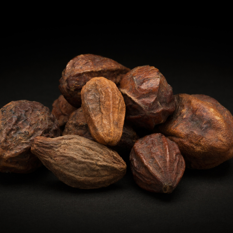 Terminalia Belerica, Beleric Myrobalan seeds - 5