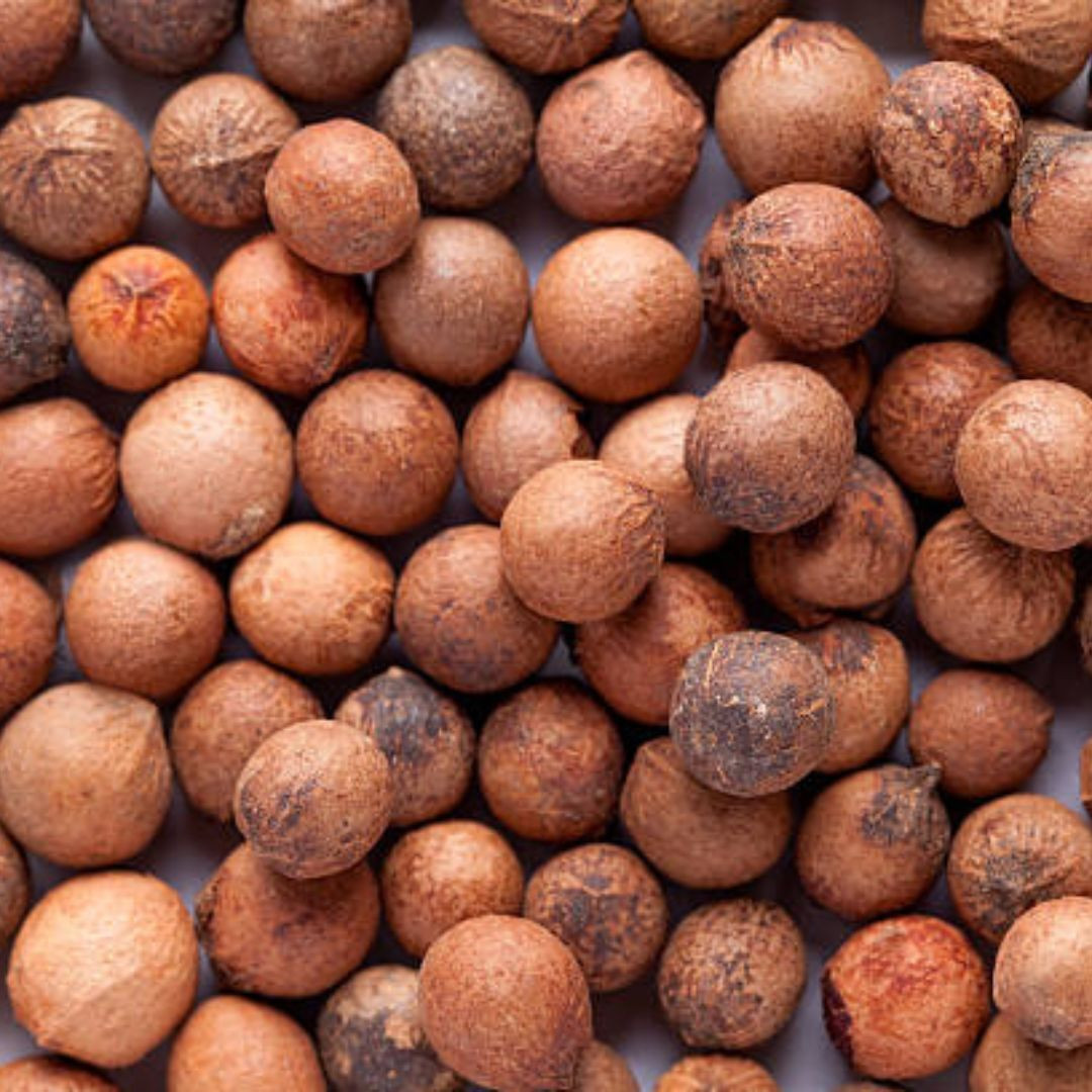 White Sandalwood Seeds, Santalum Album - 10