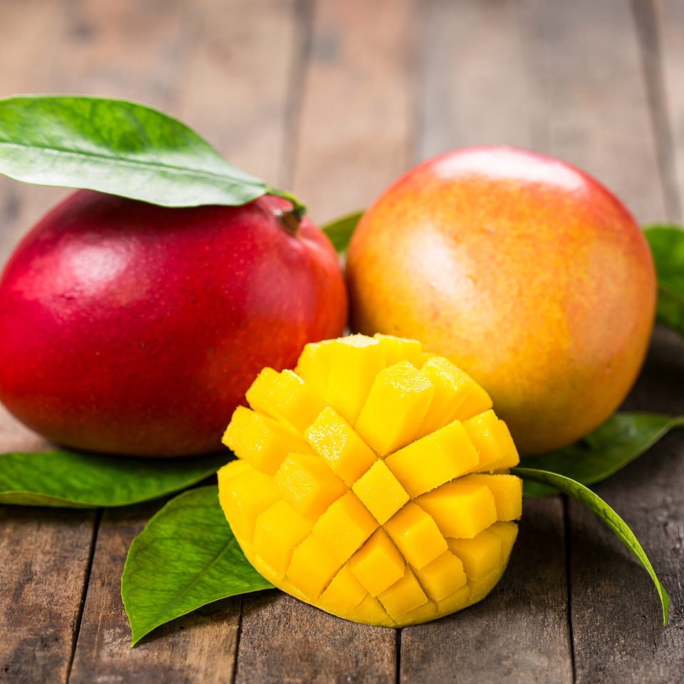 Neelam Mango, Mangifera Indica - 2