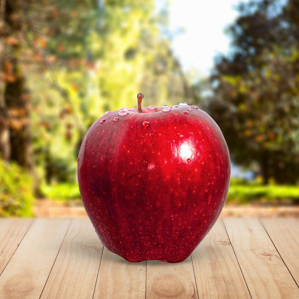 Himalayan Apple Mix, Malus Domestica seeds - 15