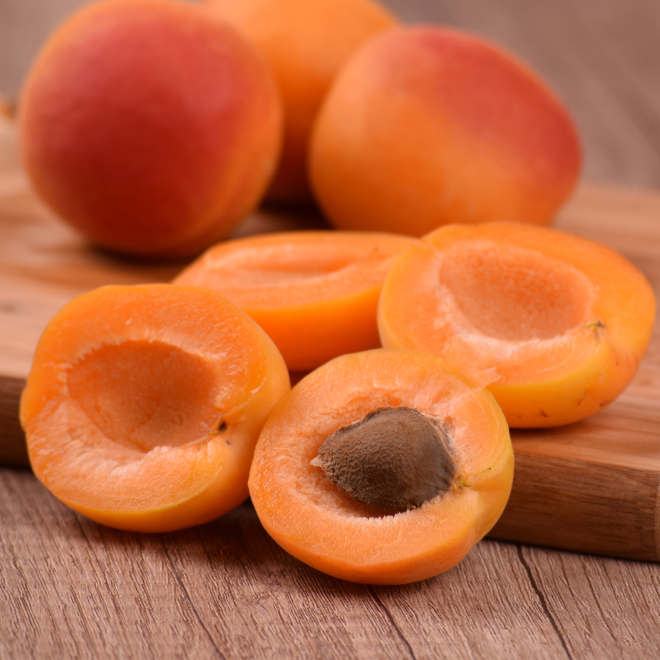 Himalayan Apricot, Prunus Armeniaca seeds - 10
