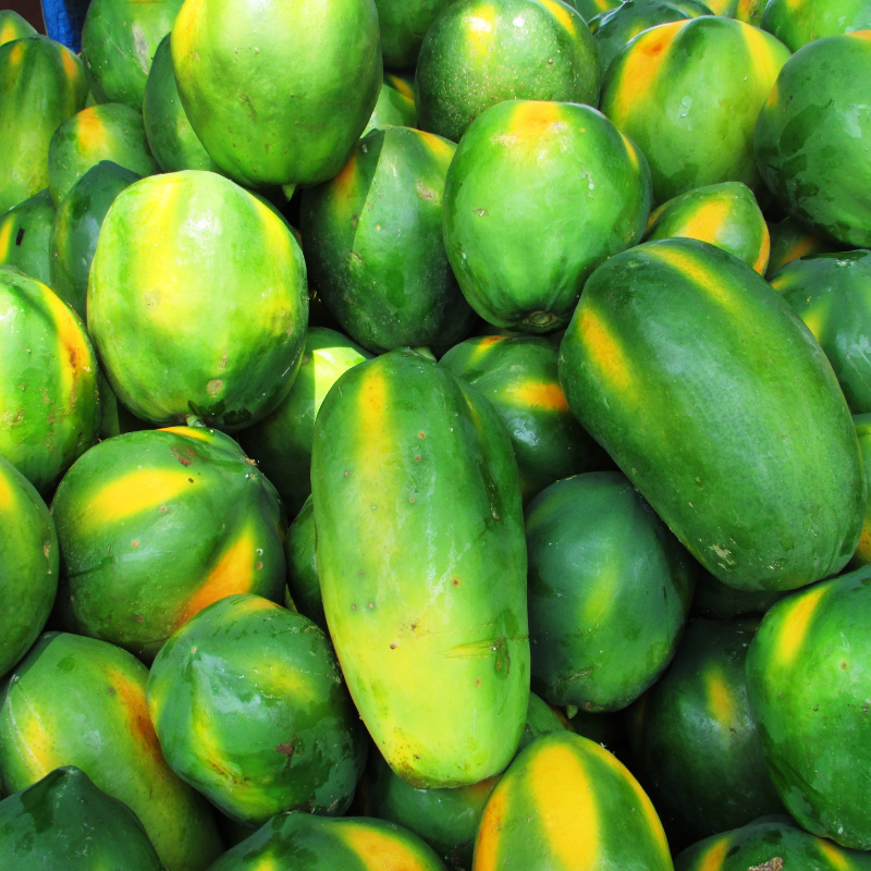 Papaya, Pawpaw, Tree Melon seeds - 200
