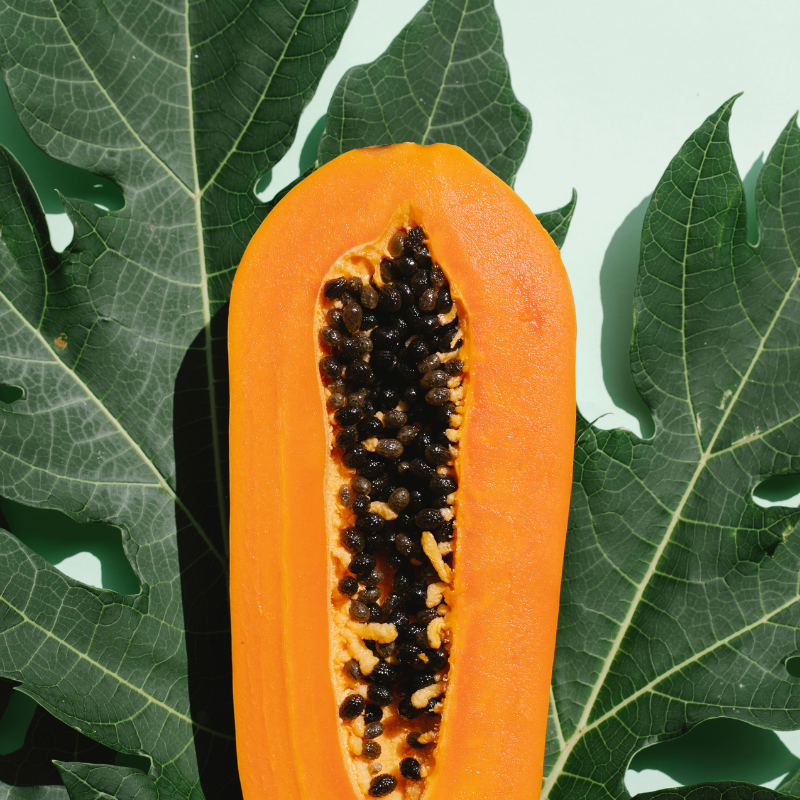 Papaya, Pawpaw, Tree Melon seeds - 200