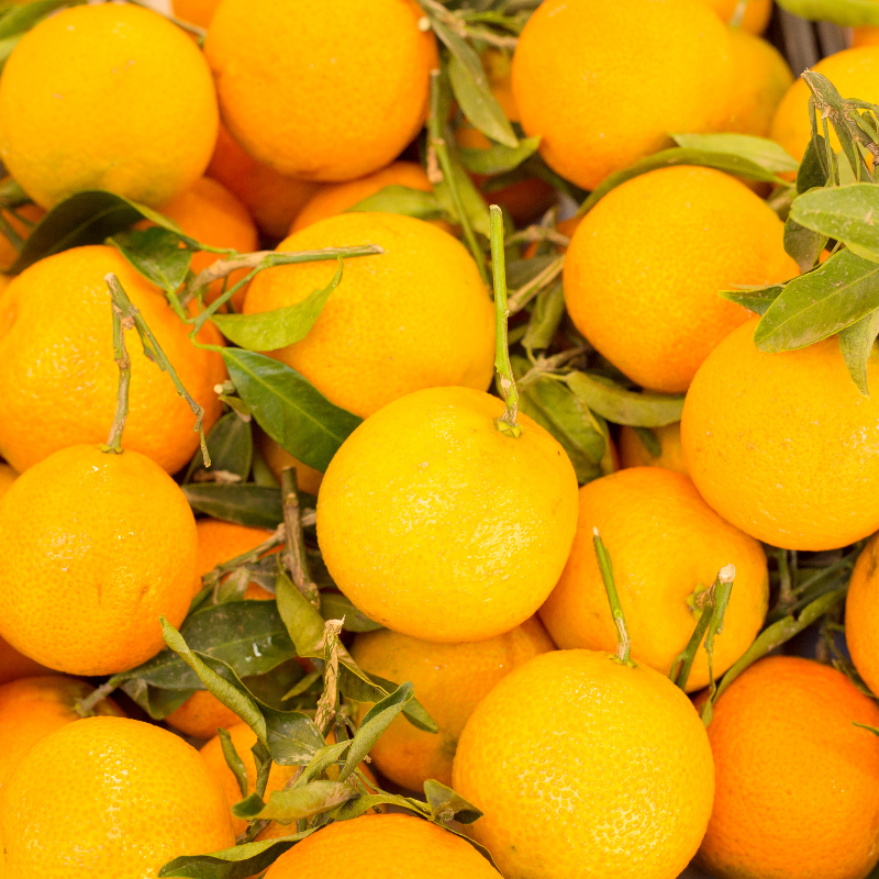 Mandarin, Citrus reticulata seeds - 10