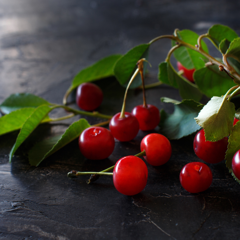 Himalayan Sweet Cherry, Prunus avium seeds - 100