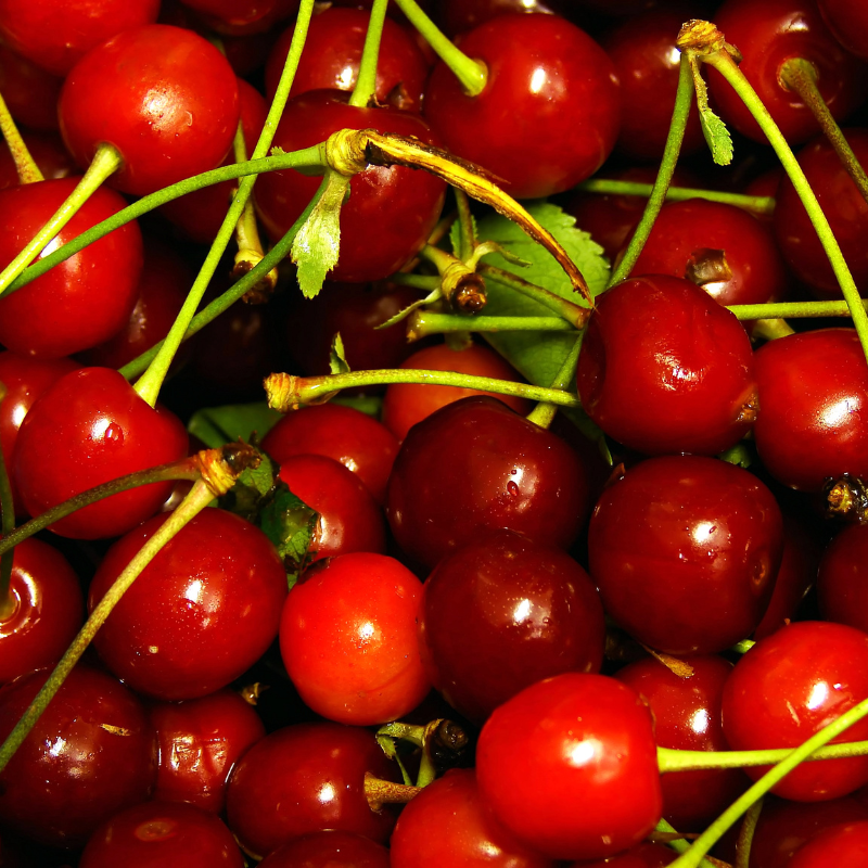 Himalayan Sweet Cherry, Prunus avium seeds - 100