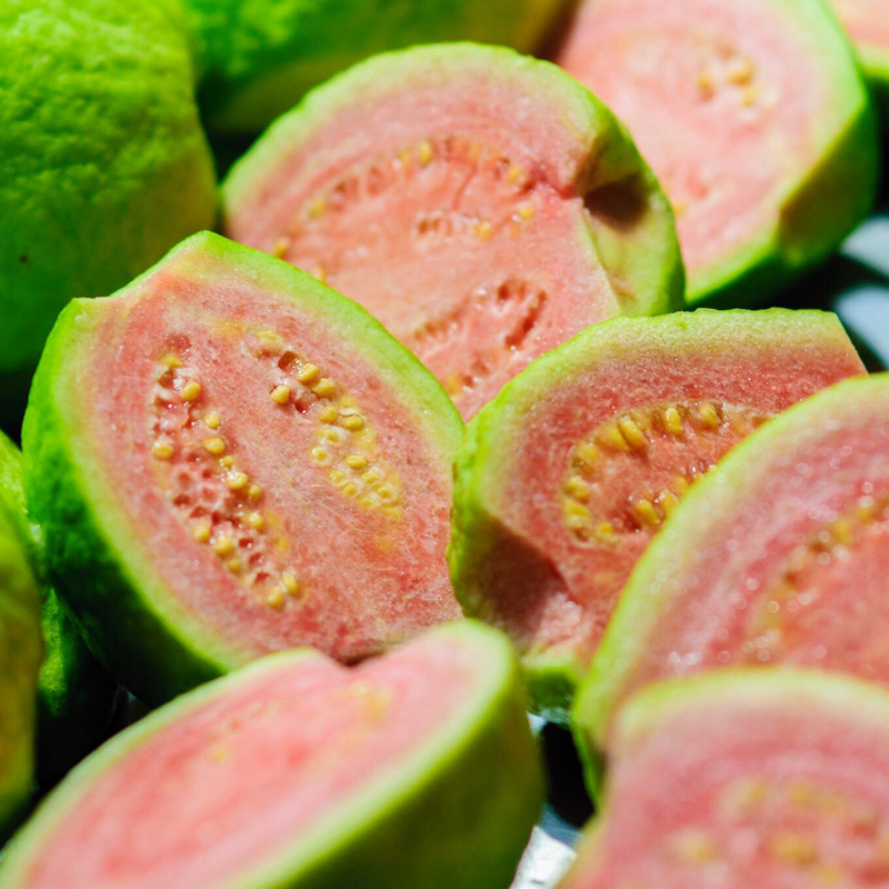 Guava, Amrud Allahabadi seeds - 100