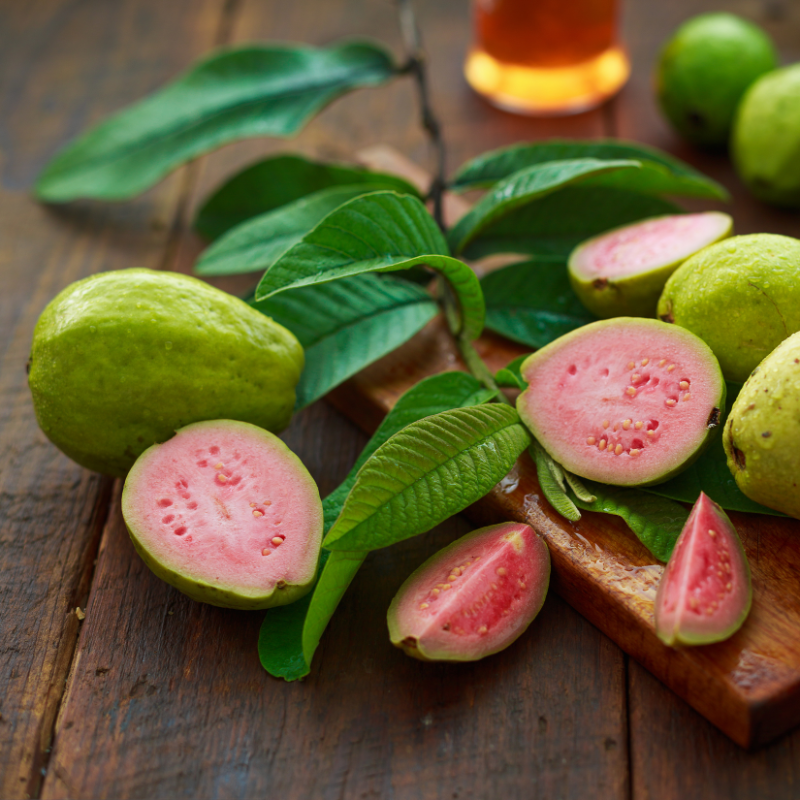 Guava, Amrud Allahabadi seeds - 600