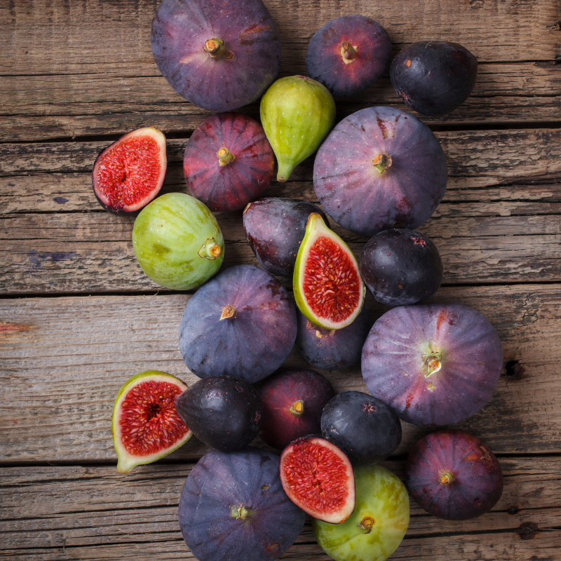Himalayan Fig, Punjab fig, Ficus Palmata seeds - 100