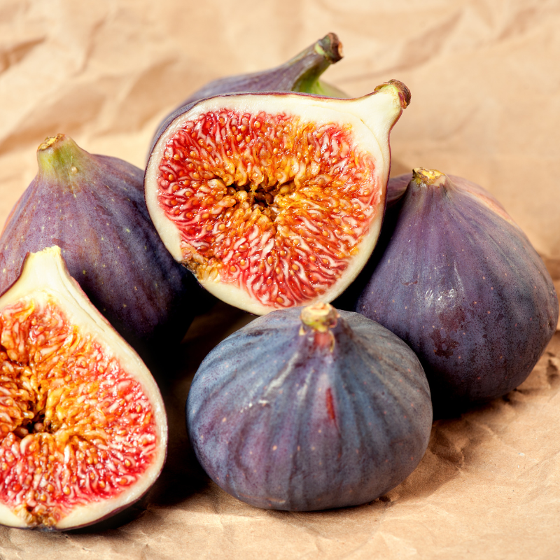 Himalayan Fig, Punjab fig, Ficus Palmata seeds - 50