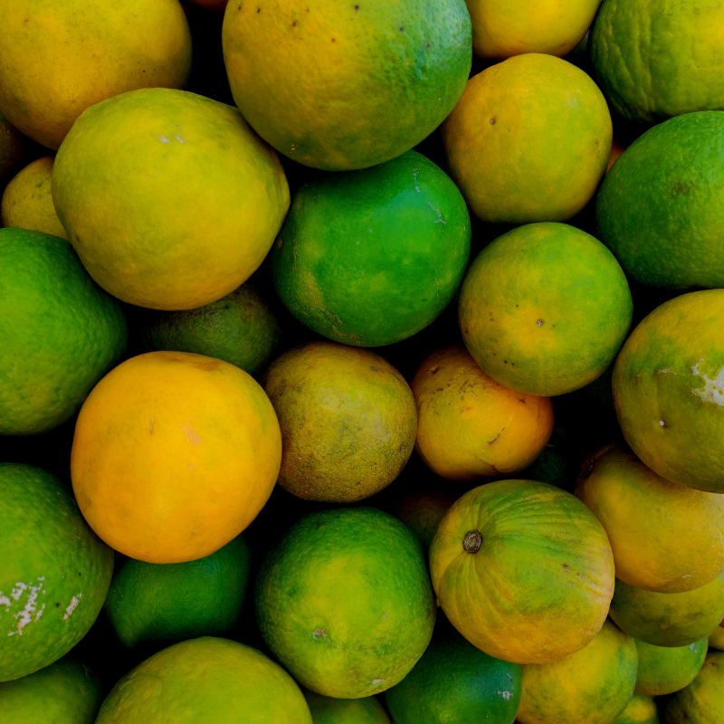 Sweet lime seeds, Citrus limetta seeds - 10