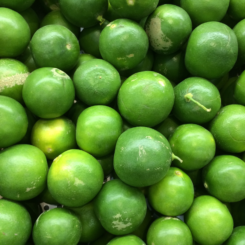 Sweet lime seeds, Citrus limetta seeds - 10