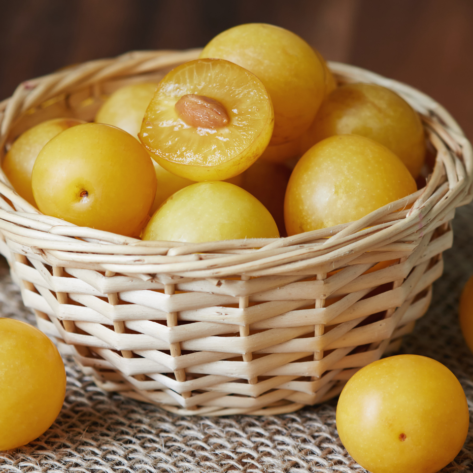 Yellow Cherry Plum seeds (Prunus cerasifera) - 5