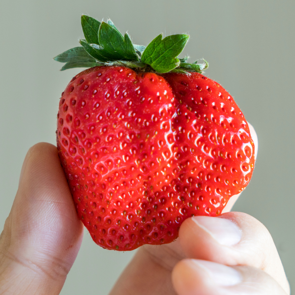 Giant Strawberry seeds - 10