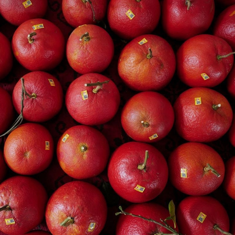 Citrus Maxima, Pomelo Red, Shaddock Seeds - 5