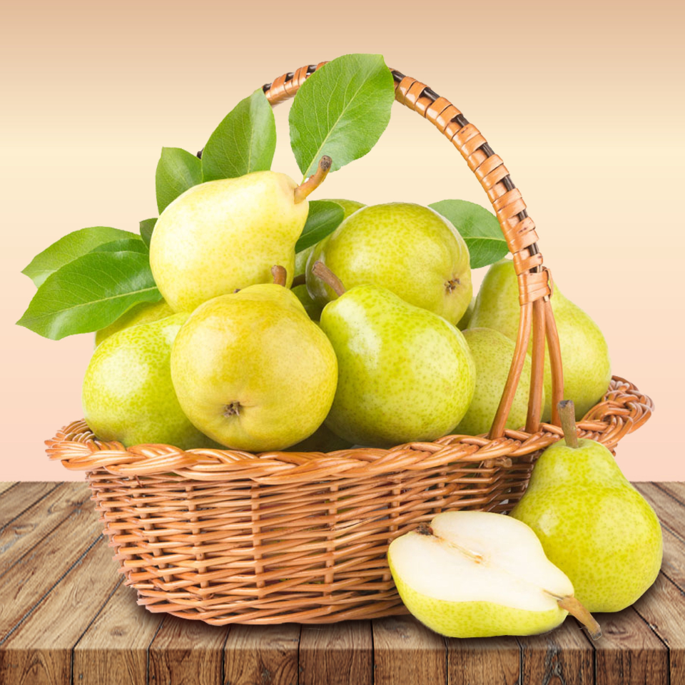 Himalayan pear, Pyrus communis, Common Pear seeds - 5