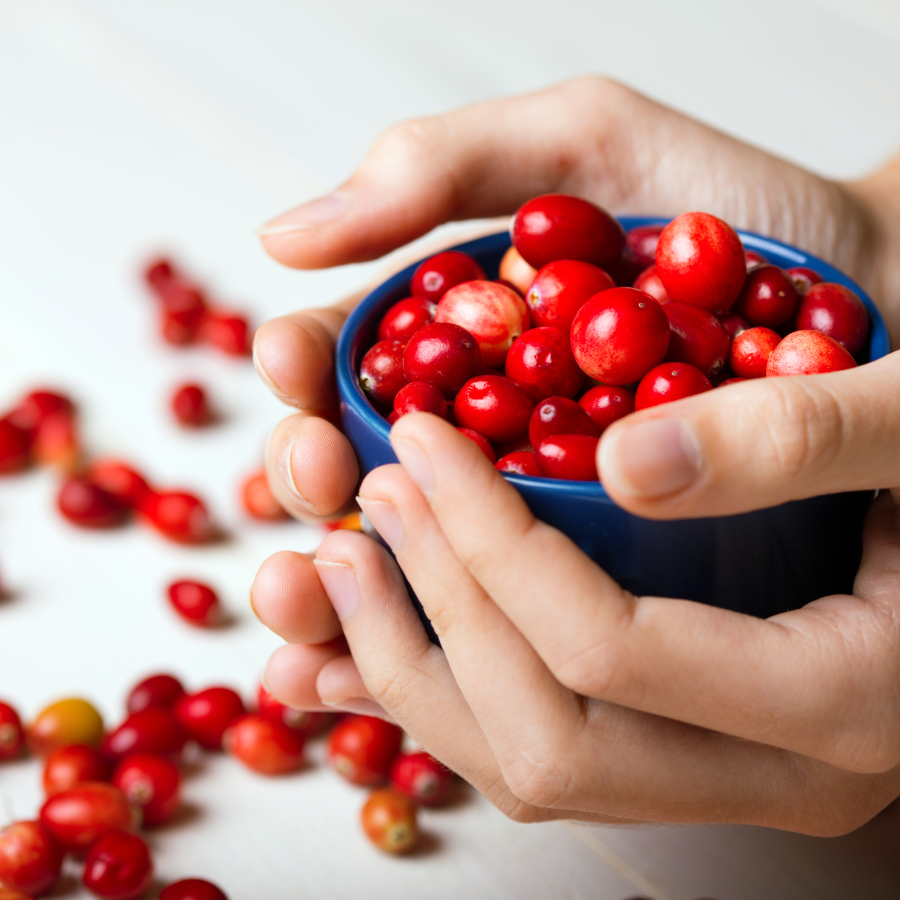 Cranberry seeds (Vaccinium macrocarpon) - 15