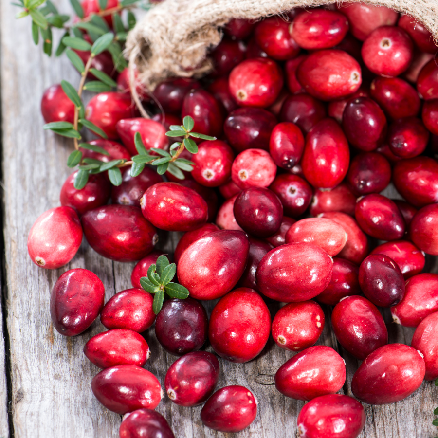 Cranberry seeds (Vaccinium macrocarpon) - 15
