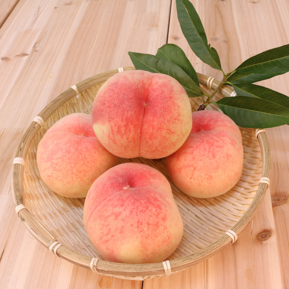Himalayan Peach, Prunus Persica seeds - 5