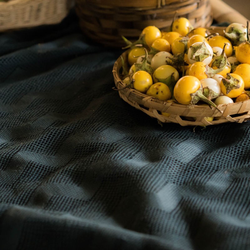 Kantakari, Solanum xanthocarpum seeds - 20