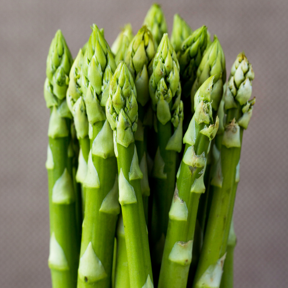 White asparagus seeds - 5