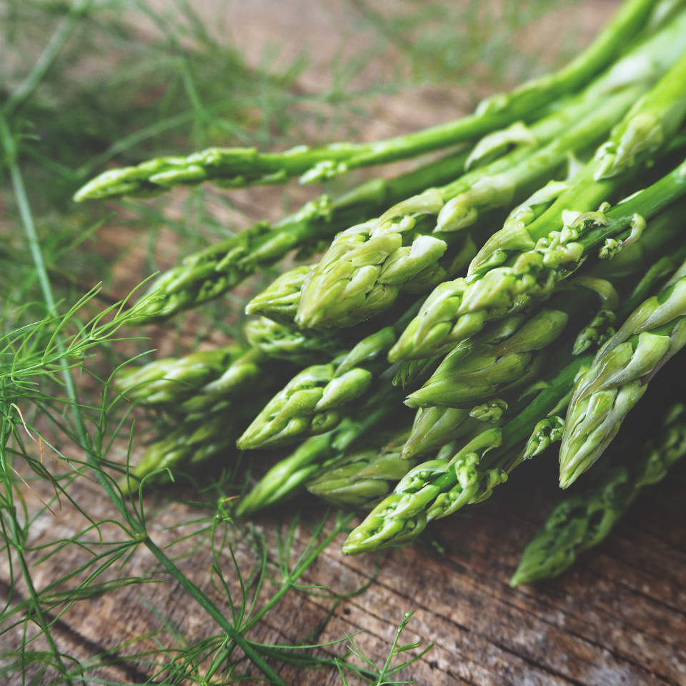 White asparagus seeds - 5