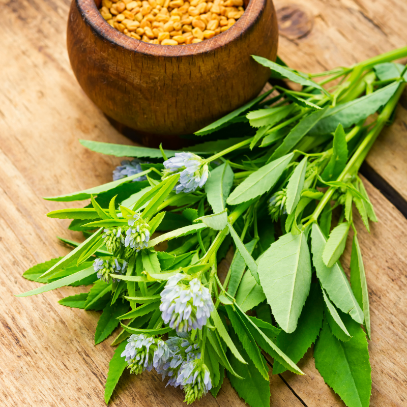 Fenugreek seeds - 30