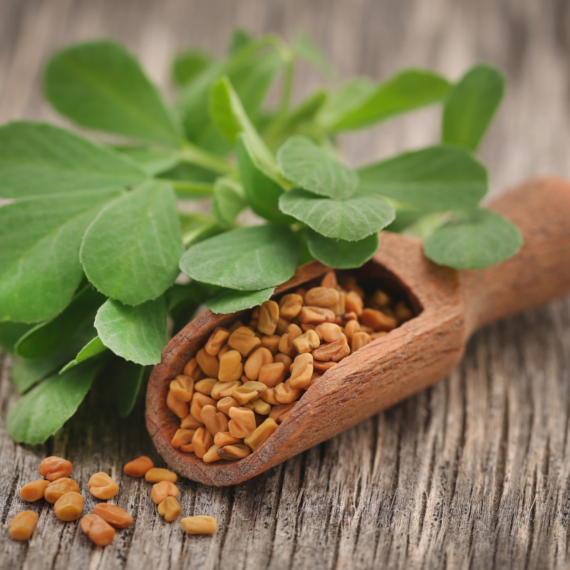 Fenugreek seeds - 30