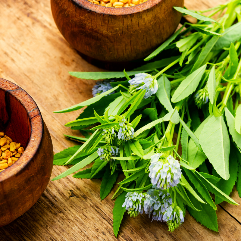 Fenugreek seeds - 30