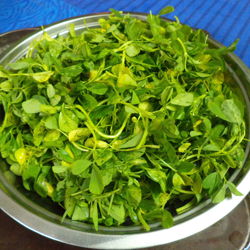Fenugreek seeds - 30