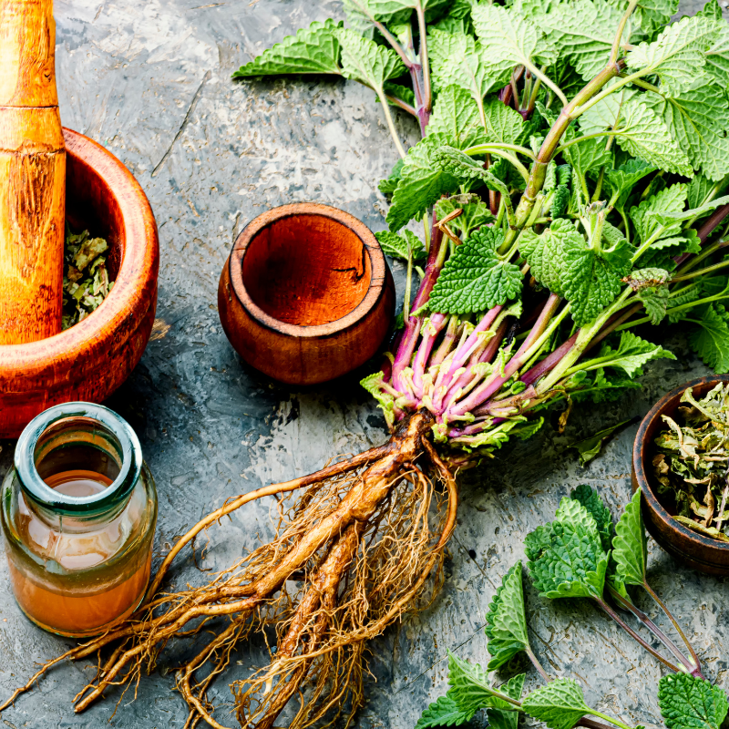 Lemon balm, Melissa Officinalis seeds - 30