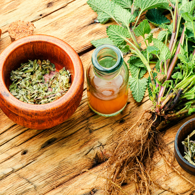 Lemon balm, Melissa Officinalis seeds - 30