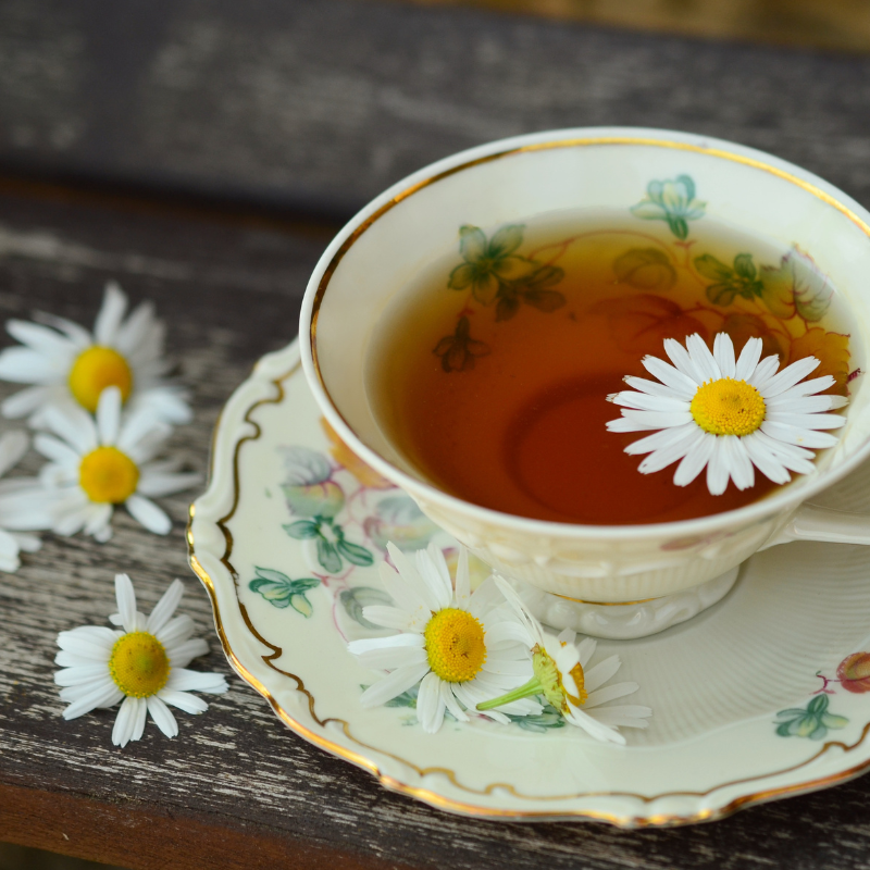 Chamomile Matricaria seeds - 100