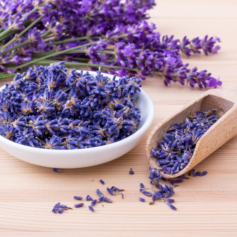 Lavender, Fragrant Lavandula Herb seeds - 30