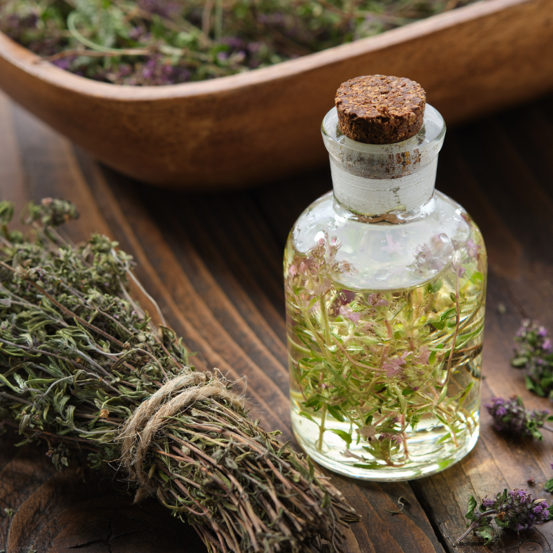 Thyme, Timeless Herb seeds - 50